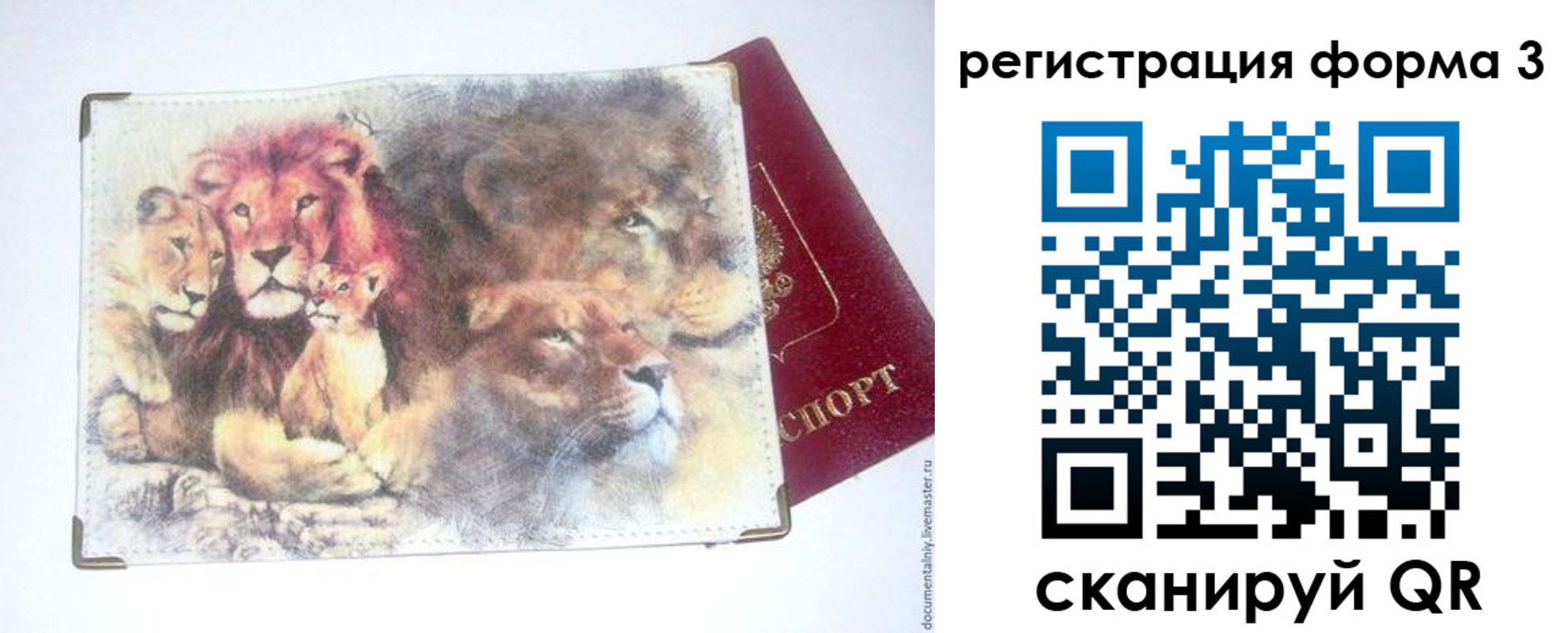 прописка в квартире в Бронницах